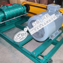 江鼓JGSR-V-100型負壓三葉羅茨鼓風(fēng)機真空泵