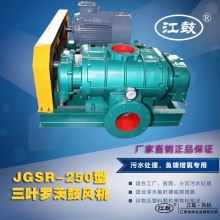 羅茨鼓風(fēng)機JGSR-250型